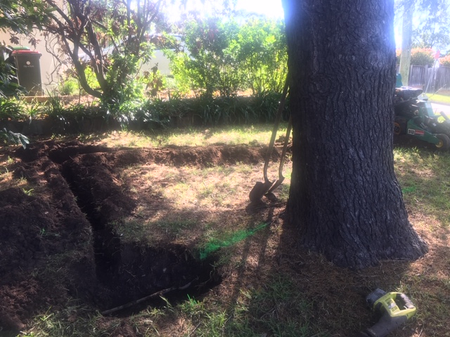 Replace Tree Root Damaged Water Service (Ryde)